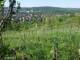 Feuerbach 29.04.2025 08:58