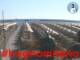 Cesenatico 14.07.2025 08:47