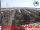 Cesenatico 03.07.2025 08:47