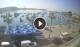 Marsaxlokk 29.04.2025 08:59