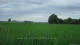 't Zandt 15.06.2025 08:58