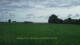 't Zandt 09.06.2025 08:58