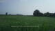 't Zandt 15.06.2025 08:58