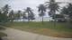 Malolo Lailai 12.07.2025 08:58