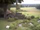 Schneverdingen 09.06.2025 08:47