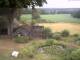 Schneverdingen 15.07.2025 08:48