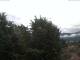Gmund am Tegernsee 15.07.2025 08:48
