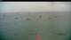 Les Anses-d'Arlet 29.04.2025 08:57