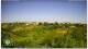 Torrevecchia Teatina 03.07.2025 08:59