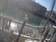 Boston, Massachusetts 30.04.2025 08:59