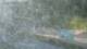 Colmars 12.07.2025 08:59