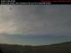 Dauphin 29.04.2025 08:01