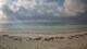 Diani Beach 01.07.2025 08:01