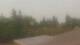 Medina, Washington 04.08.2026 08:16