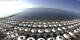 Pietra Ligure 10.07.2025 08:47