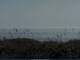 Cape Canaveral, Florida 08.07.2025 08:47