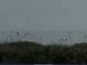 Cape Canaveral, Florida 10.07.2025 08:47