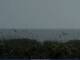 Cape Canaveral, Florida 09.06.2025 08:47
