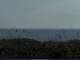 Cape Canaveral, Florida 03.07.2025 08:47