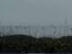 Cape Canaveral, Florida 20.05.2025 08:47