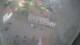 Usedom 09.07.2025 08:05