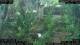 Nakhon Ratchasima (Korat) 15.06.2025 08:47