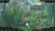 Nakhon Ratchasima (Korat) 30.04.2025 08:47