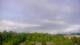 Spotsylvania, Virginia 15.07.2025 08:23