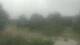 Big Island, Virginie 15.06.2025 08:29