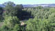Bad Pyrmont 01.07.2025 08:47