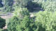 Bad Pyrmont 12.06.2025 08:47