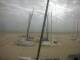 Sint-Idesbald 09.06.2025 08:08