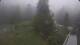 Cauterets 15.06.2025 08:08