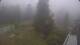 Cauterets 14.07.2025 08:19