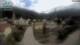 Reichraming 19.05.2025 08:09