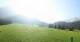 Ehrwald 09.06.2025 08:10