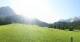 Ehrwald 14.06.2025 08:09