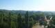Glanz an der Weinstraße 01.07.2025 08:09