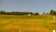 Zieleniec 15.06.2025 08:10
