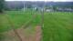 Zieleniec 16.05.2025 08:10