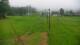 Zieleniec 09.06.2025 08:10