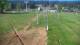 Zieleniec 24.04.2025 08:10