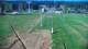 Zieleniec 29.04.2025 08:10