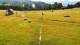 Kluszkowce 15.07.2025 08:21