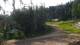 Karpacz 09.06.2025 08:10