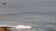Ericeira 29.04.2025 08:54