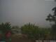 Benillup 01.05.2025 08:11
