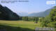 Maishofen 09.06.2025 08:56