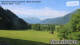 Maishofen 14.06.2025 08:56