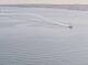 AIDAbella 19.06.2025 08:11